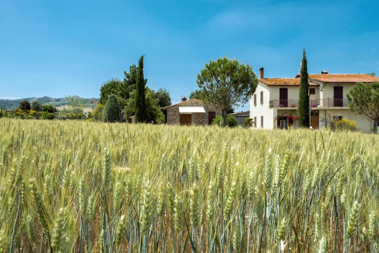 Agriturismo San Marcello Castiglione d'Orcia Exterior photo